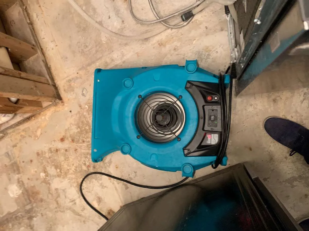 Air mover drying equipment for Mold Remediation & Removal in Edgemoor